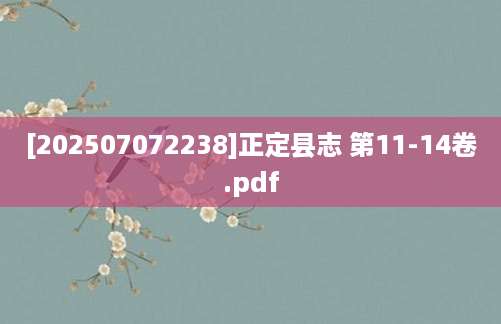 [202507072238]正定县志 第11-14卷.pdf