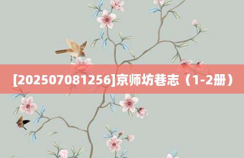 [202507081256]京师坊巷志（1-2册）