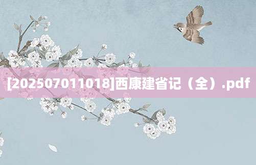 [202507011018]西康建省记（全）.pdf