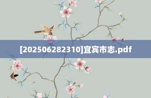 [202506282310]宜宾市志.pdf