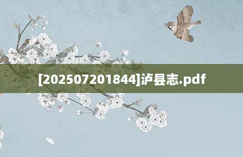 [202507201844]泸县志.pdf