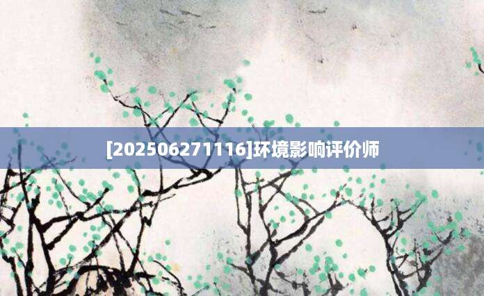 [202506271116]环境影响评价师