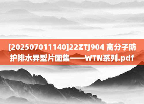 [202507011140]22ZTJ904 高分子防护排水异型片图集——WTN系列.pdf