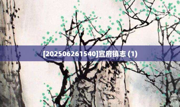 [202506261540]宣府镇志 (1)