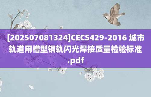 [202507081324]CECS429-2016 城市轨道用槽型钢轨闪光焊接质量检验标准.pdf
