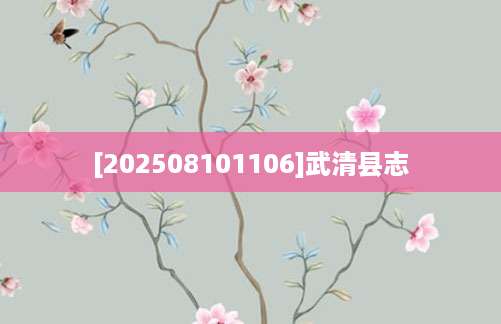 [202508101106]武清县志