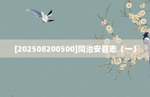 [202508200500]同治安县志（一）