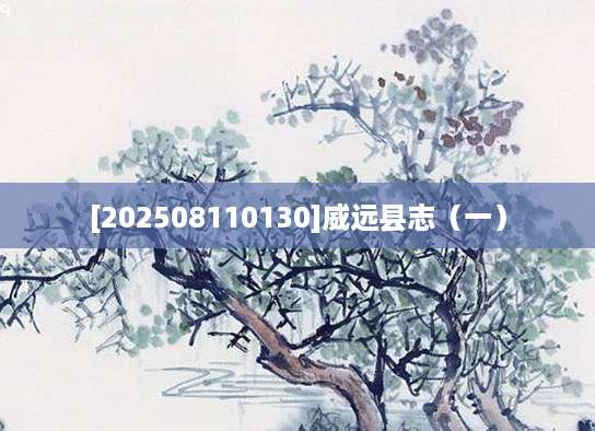 [202508110130]威远县志（一）