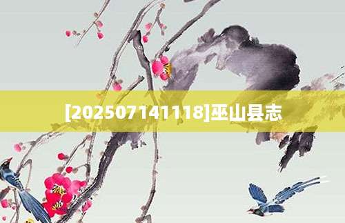 [202507141118]巫山县志