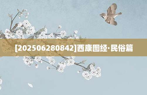 [202506280842]西康图经·民俗篇