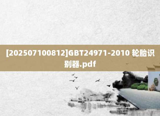 [202507100812]GBT24971-2010 轮胎识别器.pdf
