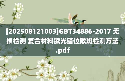 [202508121003]GBT34886-2017 无损检测 复合材料激光错位散斑检测方法.pdf