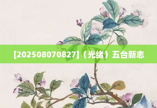 [202508070827]（光绪）五台新志