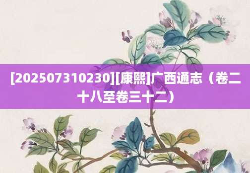 [202507310230][康熙]广西通志（卷二十八至卷三十二）