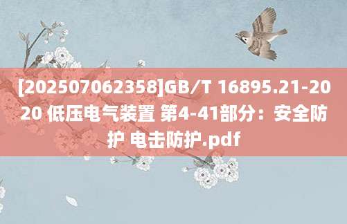[202507062358]GB∕T 16895.21-2020 低压电气装置 第4-41部分：安全防护 电击防护.pdf