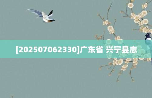 [202507062330]广东省 兴宁县志