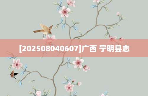 [202508040607]广西 宁明县志