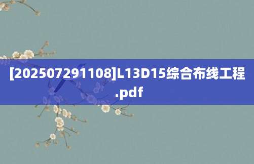 [202507291108]L13D15综合布线工程 .pdf