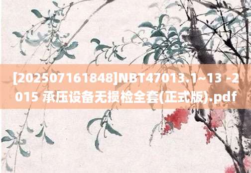 [202507161848]NBT47013.1~13 -2015 承压设备无损检全套(正式版).pdf