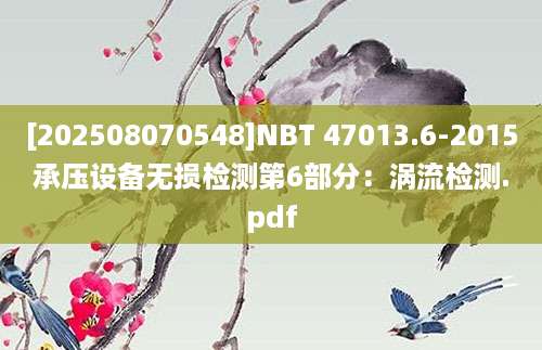 [202508070548]NBT 47013.6-2015承压设备无损检测第6部分：涡流检测.pdf