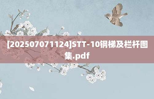 [202507071124]STT-10钢梯及栏杆图集.pdf