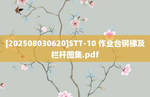 [202508030620]STT-10 作业台钢梯及栏杆图集.pdf