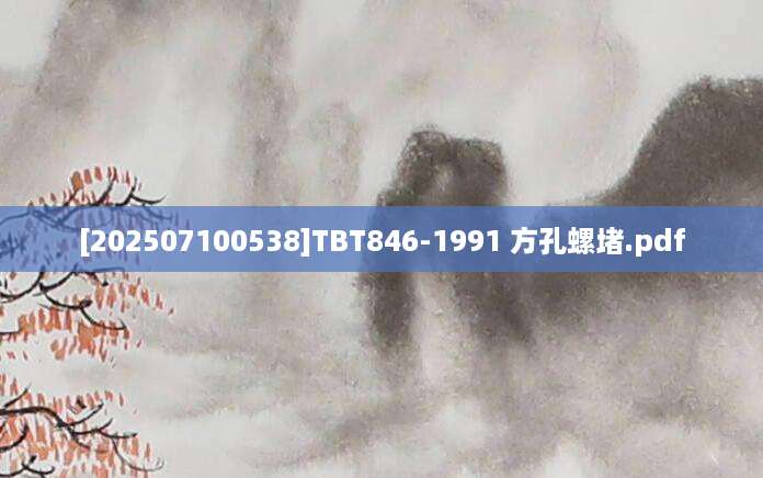 [202507100538]TBT846-1991 方孔螺堵.pdf