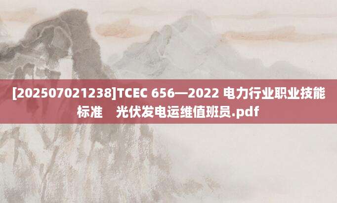[202507021238]TCEC 656—2022 电力行业职业技能标准　光伏发电运维值班员.pdf