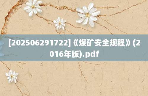 [202506291722]《煤矿安全规程》(2016年版).pdf