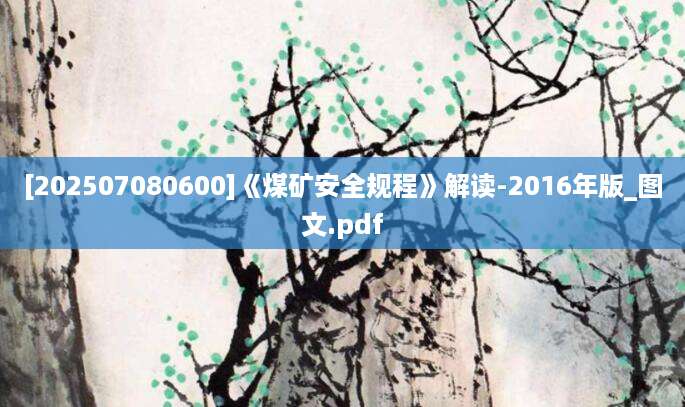 [202507080600]《煤矿安全规程》解读-2016年版_图文.pdf