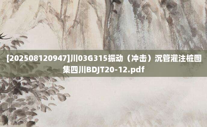 [202508120947]川03G315振动（冲击）沉管灌注桩图集四川BDJT20-12.pdf