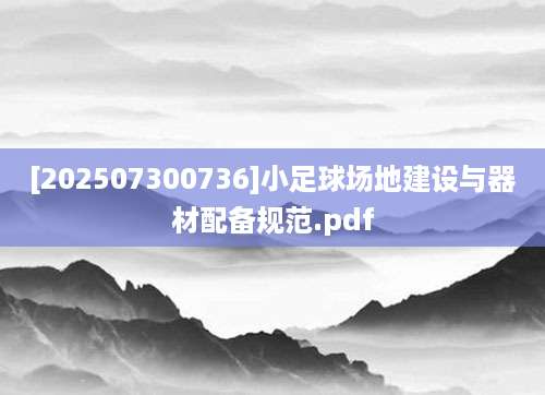 [202507300736]小足球场地建设与器材配备规范.pdf