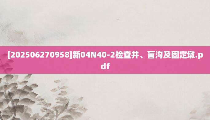 [202506270958]新04N40-2检查井、盲沟及固定墩.pdf