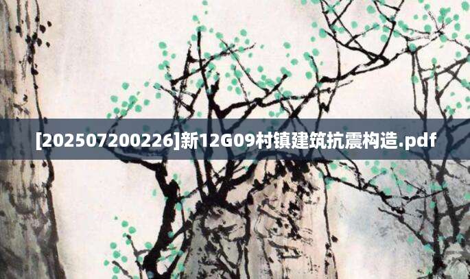 [202507200226]新12G09村镇建筑抗震构造.pdf