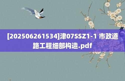 [202506261534]津07SSZ1-1 市政道路工程细部构造.pdf