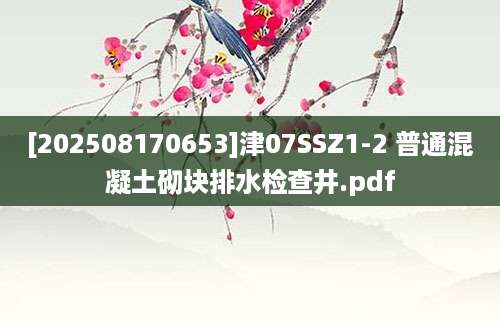 [202508170653]津07SSZ1-2 普通混凝土砌块排水检查井.pdf