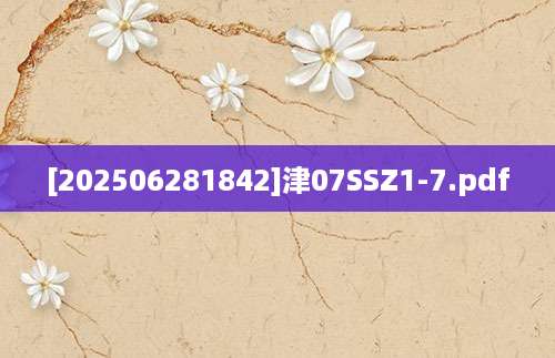 [202506281842]津07SSZ1-7.pdf