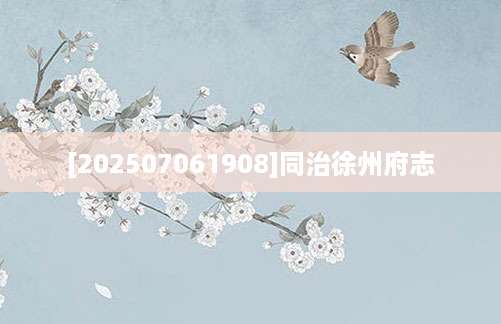 [202507061908]同治徐州府志