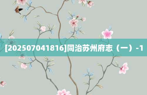 [202507041816]同治苏州府志（一）-1