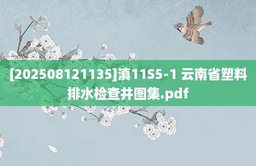 [202508121135]滇11S5-1 云南省塑料排水检查井图集.pdf