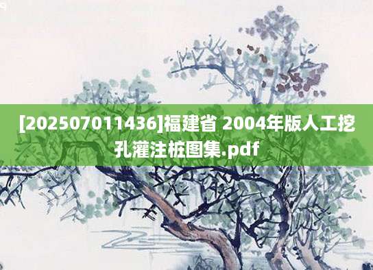 [202507011436]福建省 2004年版人工挖孔灌注桩图集.pdf