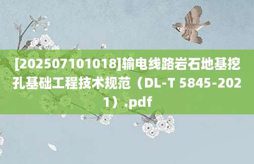 [202507101018]输电线路岩石地基挖孔基础工程技术规范（DL-T 5845-2021）.pdf