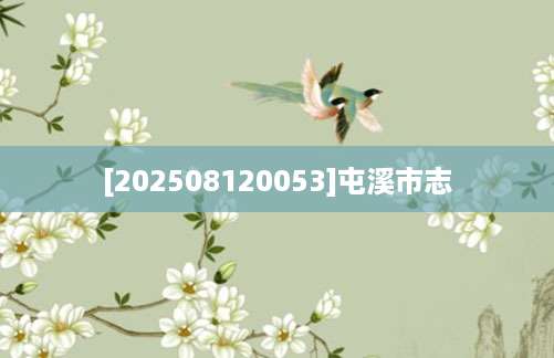 [202508120053]屯溪市志