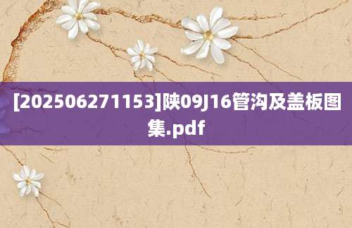 [202506271153]陕09J16管沟及盖板图集.pdf