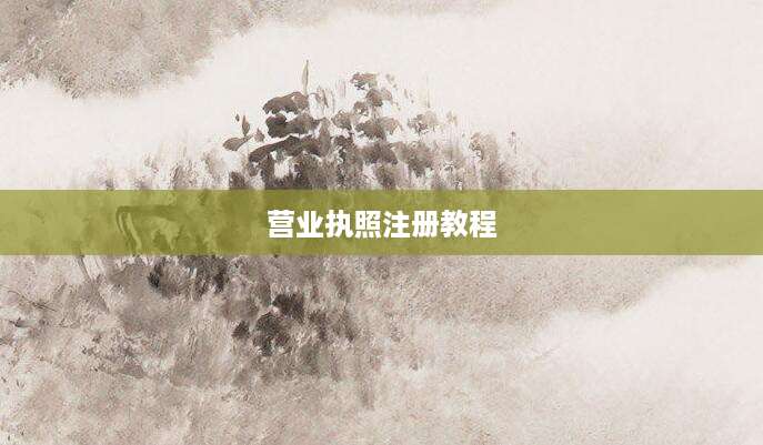 [202508070519]营业执照注册教程