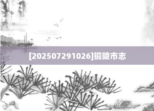 [202507291026]铜陵市志