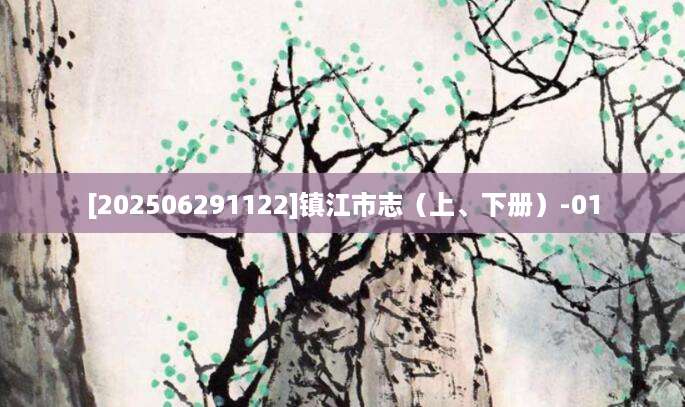 [202506291122]镇江市志（上、下册）-01