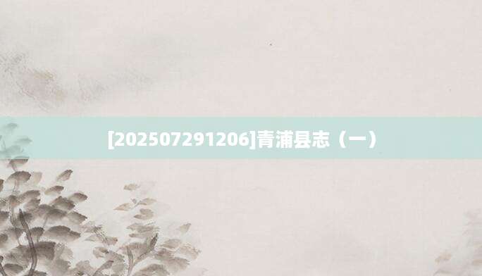 [202507291206]青浦县志（一）