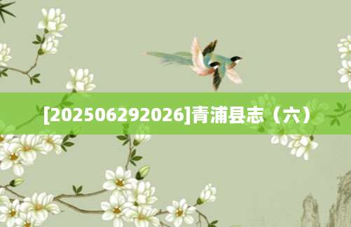 [202506292026]青浦县志（六）