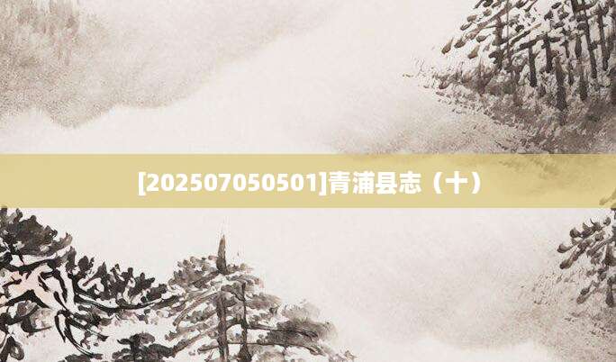 [202507050501]青浦县志（十）